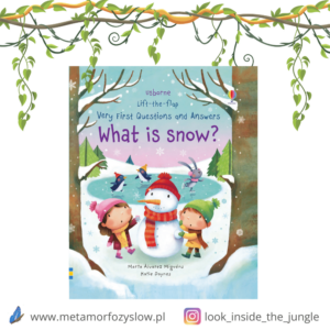 Very First Questions and Answers What is Snow