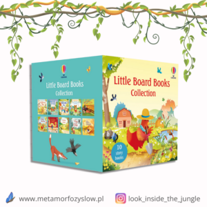 Little Board Book collection