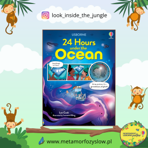 24 Hours under the Ocean