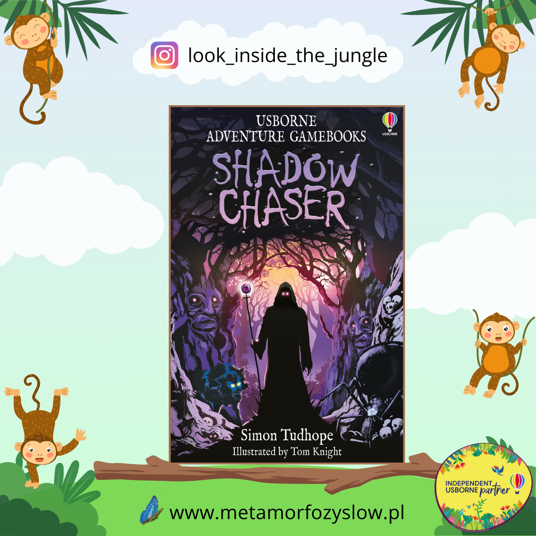 Shadow Chaser