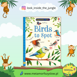 Birds to Spot