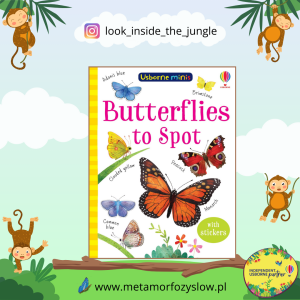 Butterflies to Spot