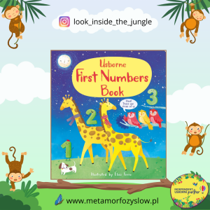First Numbers Book
