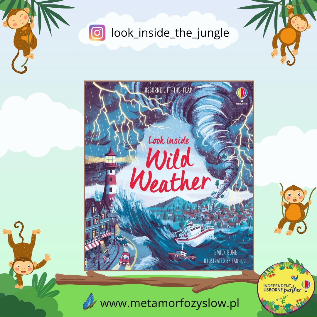 Look Inside Wild Weather