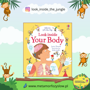 Look Inside Your Body