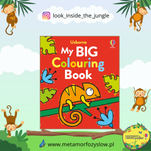 My Big Colouring Book