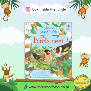 Peep Inside a Bird's Nest