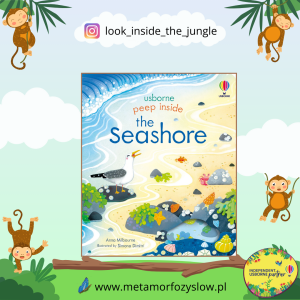 Peep Inside the Seashore