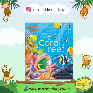 Peep inside a Coral Reef