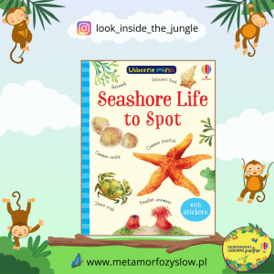 Seashore Life to Spot