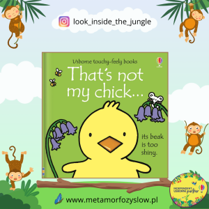 That's not my chick…