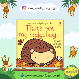 That's not my hedgehog…