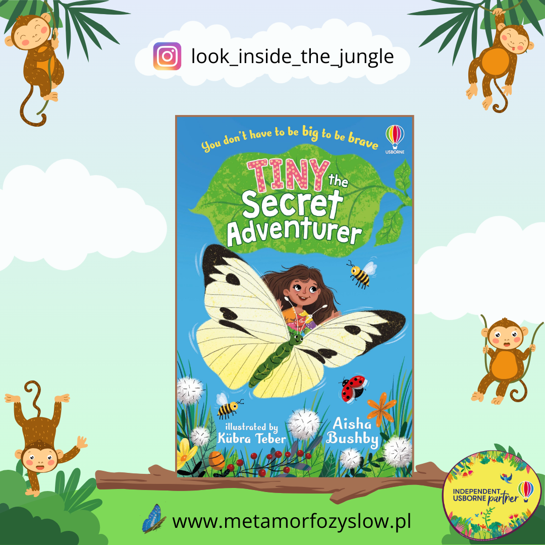 Tiny, the Secret Adventurer