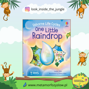 One Little Raindrop