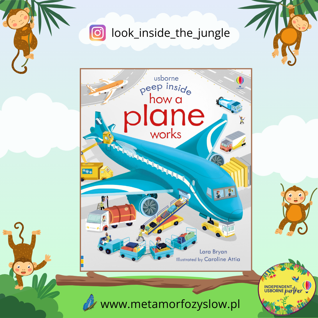 Peep Inside How a Plane Works