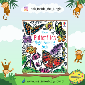 Butterflies Magic Painting Book