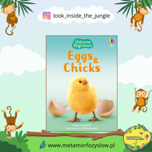 Eggs and Chicks
