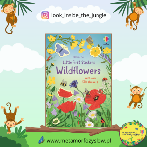 Little First Stickers Wildflowers