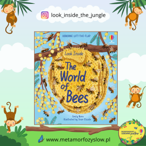 Look Inside the World of Bees