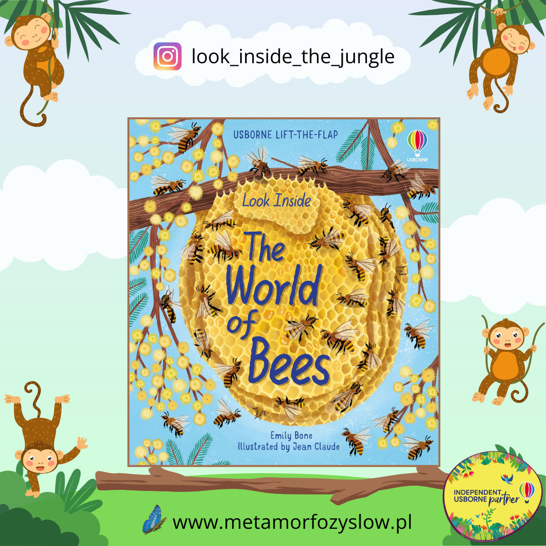 Look Inside the World of Bees