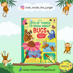 Lots of Things to Know About Bugs