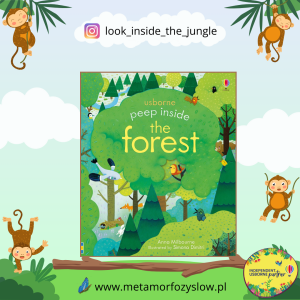 Peep Inside a Forest