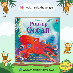 Pop-up Ocean