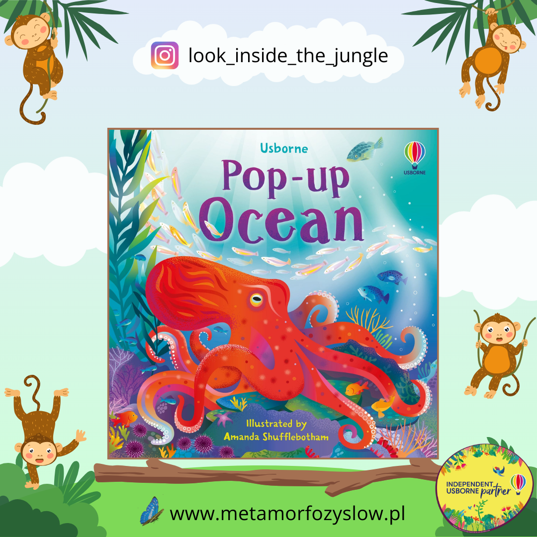 Pop-up Ocean