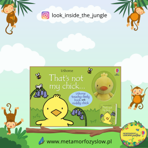 That's Not My Chick Book and Toy