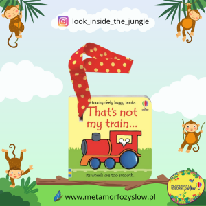 That's not my train... buggy book