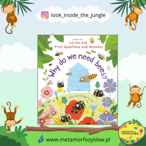 First Questions and Answers: Why do we need bees?