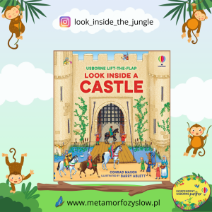 Look Inside a Castle