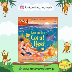 Look inside a Coral Reef