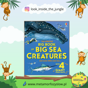Big Book of Big Sea Creatures