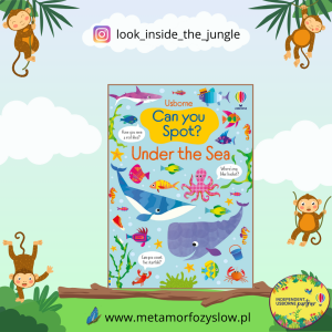 Can you Spot? Under the Sea