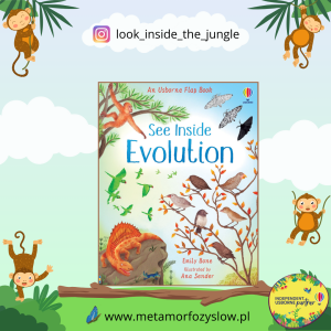 See Inside Evolution