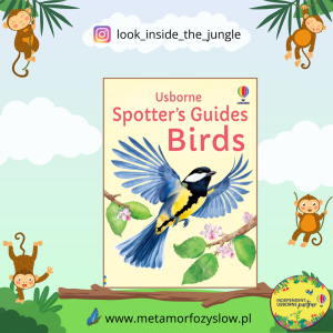 Spotter's Guides: Birds