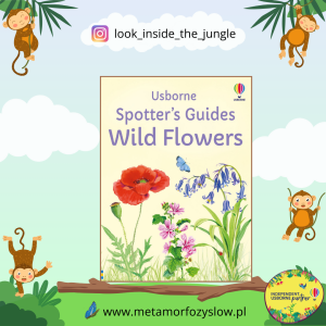 Spotter's Guides: Wild Flowers
