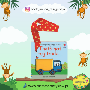 That's not my truck buggy book