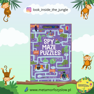 Spy Maze Puzzles