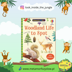 Woodland Life to Spot