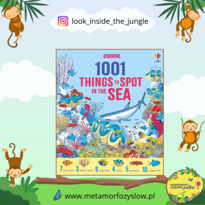 1001 Things to Spot in the Sea