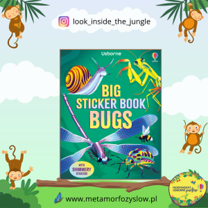 Big Sticker Book Bugs