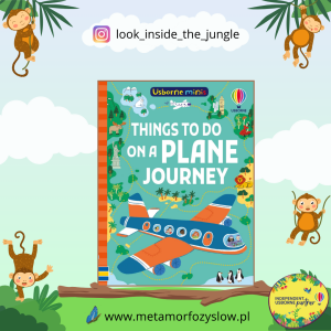 Things To Do on a Plane Journey