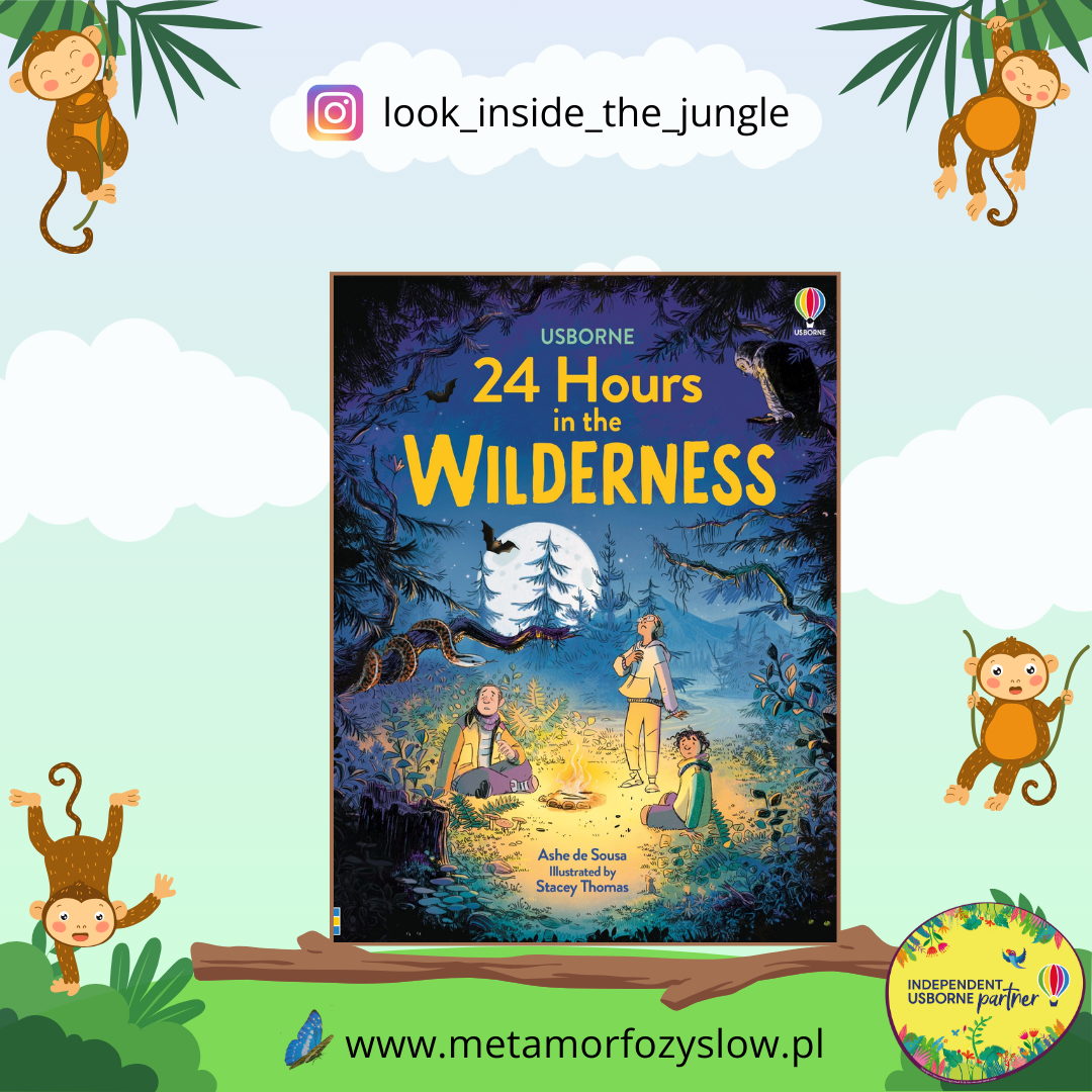 24 Hours in the Wilderness