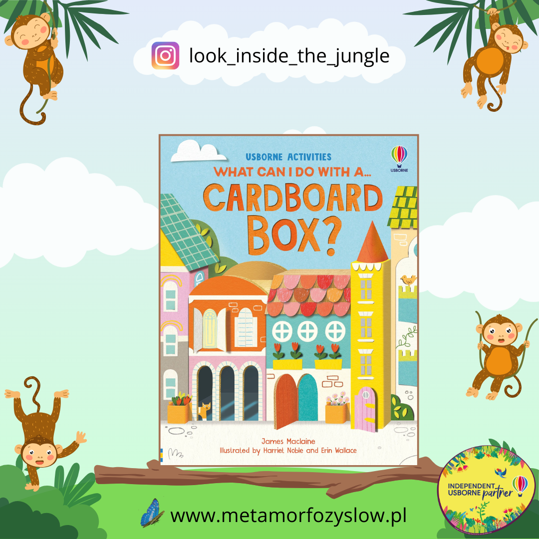 What Can I Do with a Cardboard Box?