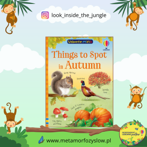 Things to Spot in Autumn
